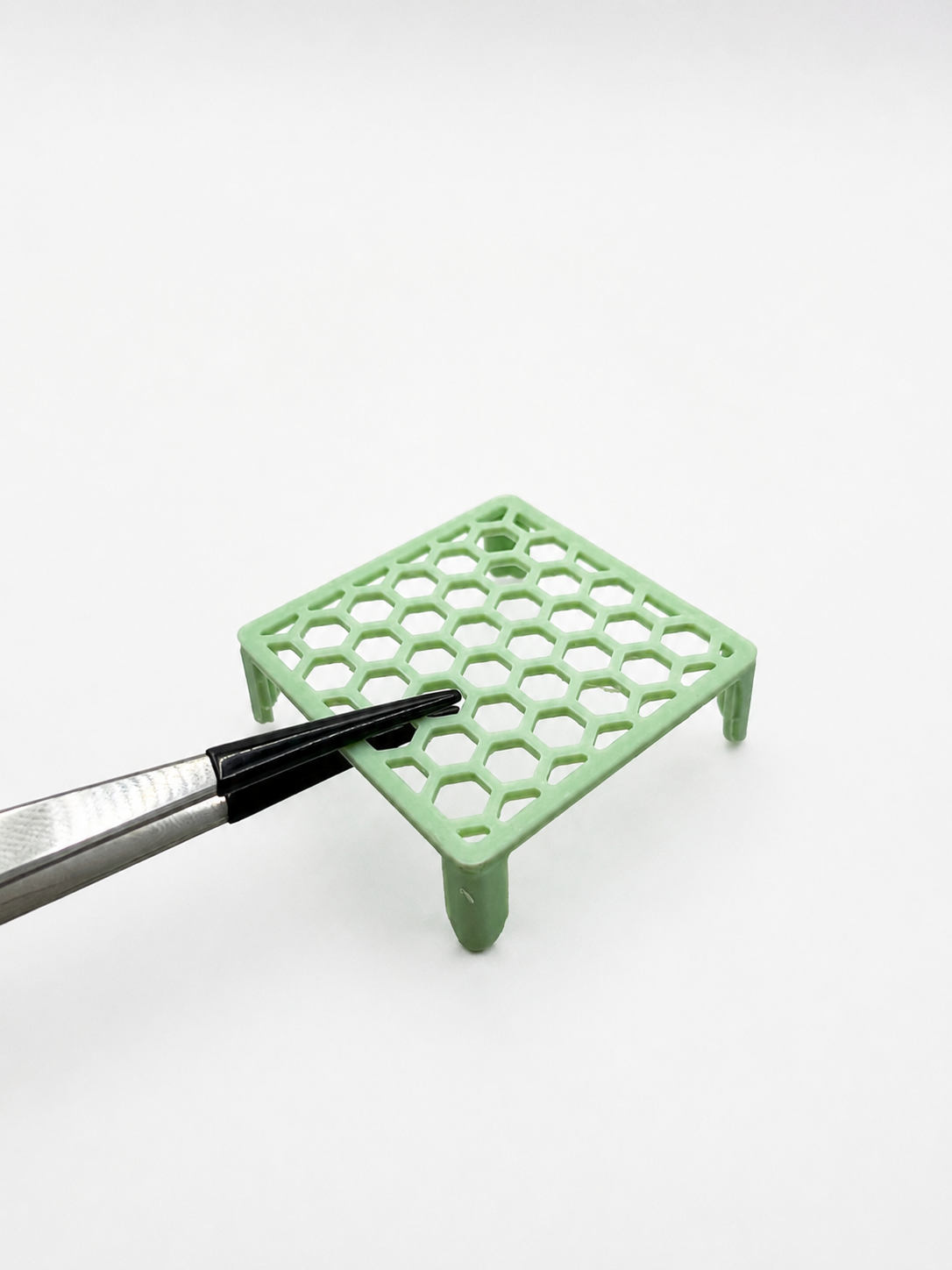 Alocasia Corm Riser (Set of 3)