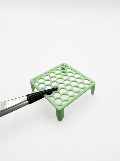 Alocasia Corm Riser (Set of 3)